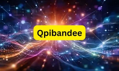 qpibandee