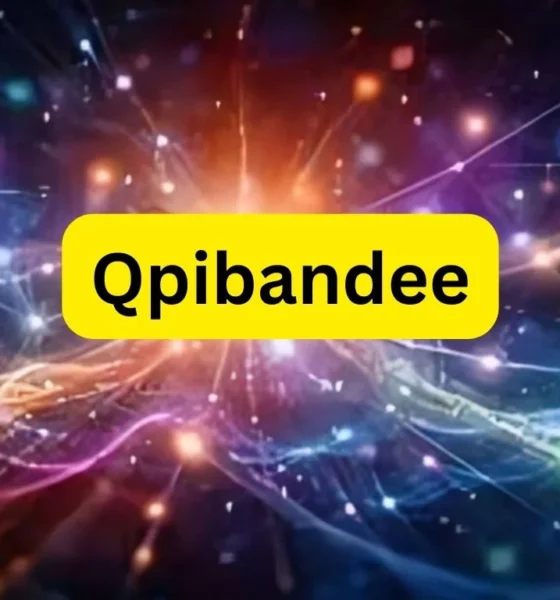 qpibandee
