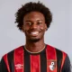 afc bournemouth